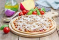 Pizza with tuna fish Royalty Free Stock Photo