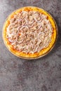 Pizza Tuna is an unusual and tasty combination of tomato sauce, canned tuna, mozzarella cheese and red onion close-up on a wooden Royalty Free Stock Photo