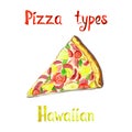 Pizza types, Hawaiian isolated on white hand painted watercolor illustration