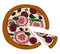 Pizza vector illustration, hand drawn pizza illustration, pizza vector poster, italian pizza