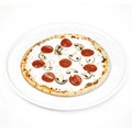 Pizza vector isolated on white background Royalty Free Stock Photo