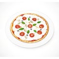 Pizza vector isolated on white background Royalty Free Stock Photo