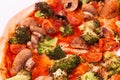 Pizza with veggie vegetables, macro, top view, isolate