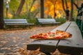 Pizza on a wooden bench in the park in autumn season.