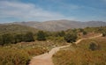 Pla de la Calma highlands with flock of sheep. Royalty Free Stock Photo