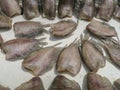 Pla Salit sun-dried fish is thai food.