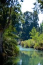 Place of Baptism Yardenit. Located along Jordan River in the Galilee region of northern Israel. Clean, calm water, green palm