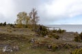 A place of birches and junipers on the coast of sea dunes