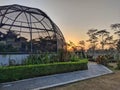 Place of cultivation in Indrokilo Botanical Garden at Boyolali, Indonesia. Green house, outdoor, indoor plants. Harvesting cannabi