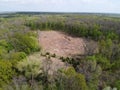 A place of felling, aerial view. Devastated land, clearing Royalty Free Stock Photo