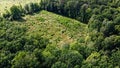 Place of felling of trees in the forest, a clearing. Aerial view of a forest clearing, landscape. Felled forest area