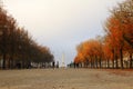 Place MarÃÂ©chal-Foch viewed along Cours Saint-Pierre in Autumn Nantes Pays de la Loire, France