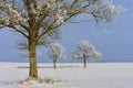 Beauty in nature . Place near Siauliai.