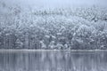 White winter day by the lake Bijote Royalty Free Stock Photo