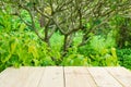 Place for object on wooden table with green summer Royalty Free Stock Photo