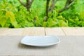 Place for object on wooden table with green summer Royalty Free Stock Photo