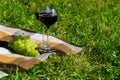 Place in the park on the grass for relaxation, two glasses of red wine and a branch of grapes Royalty Free Stock Photo
