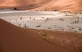 Place of silence- - Desert landscape with dead trees and dryed u salt lake