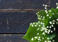 Place for text. Lilies of the valley spring flowers in a bouquet are laid out along the edge of a dark wooden background Royalty Free Stock Photo