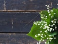 Place for text. Lilies of the valley spring flowers in a bouquet are laid out along the edge of a dark wooden background Royalty Free Stock Photo