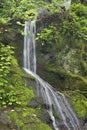 Place of a Thousand Drips Great Smoky Mountains National Park Royalty Free Stock Photo