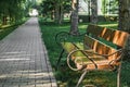 Place to relax in park. Empty wooden bench stands under trees next to path in forest park Royalty Free Stock Photo