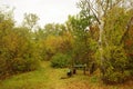 A place to rest in the shade of forest trees