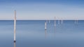 Placed fishing net in the Markermeer