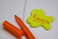 Placenta write on sticky notes isolated on office desk