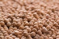 Placer chickpeas texture