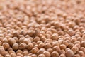 Placer chickpeas texture