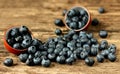 Placer fresh blueberries