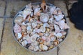 Placer of small and medium sea shells in a metal container.