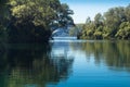 Placid Lake Rotoiti Royalty Free Stock Photo