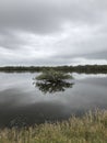 A Placid Look at Canaveral National Seashore in Florida