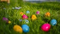 Placing colored Easter eggs in gardens for decoration and a scavenger hunt Royalty Free Stock Photo