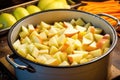 placing sliced potatoes around the pot roast Royalty Free Stock Photo