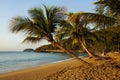 Plage de la Perle in Deshaies, Guadeloupe Royalty Free Stock Photo