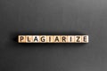 plagiarize - word from wooden blocks with letters
