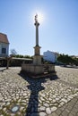 The plague column in Nove Mesto nad Vahom town Royalty Free Stock Photo