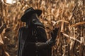 Plague doctor gothic woman standing in thickets of corn. Raven mask halloween Royalty Free Stock Photo