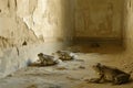 Plague of frogs in Egypt, Bible story. Generative AI