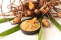 Plai (thai name), Cassumunar ginger, Bengal root Zingiber cassumunar, fresh and powdered rhizome