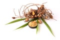 Plai (thai name), Cassumunar ginger, Bengal root Zingiber cassumunar, fresh and powdered rhizome