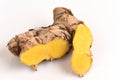 Plai (thai name) (Zingiber cassumunar Roxb.) Ginger