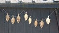 Plaice drying on a rack in the wind Royalty Free Stock Photo