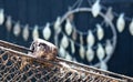 Plaice drying on a rack in the wind - Selective focus on the net Royalty Free Stock Photo