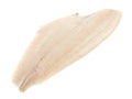 Plaice Fish Fillet Royalty Free Stock Photo