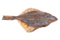 Plaice fish on white Royalty Free Stock Photo