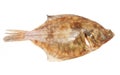 Plaice flat fish